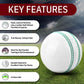 White Leather Cricket Ball – Handmade & Match Ready