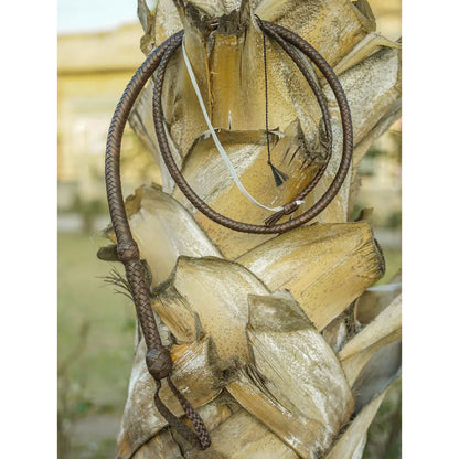 Chocolate brown bullwhip wrapped around wood for display