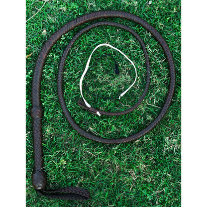 Chocolate brown cowhide bullwhip coiled on grass