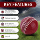 Red Leather Cricket Ball – Handmade Match Ball Gift