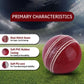 Red Leather Cricket Ball – Handmade Match Ball Gift